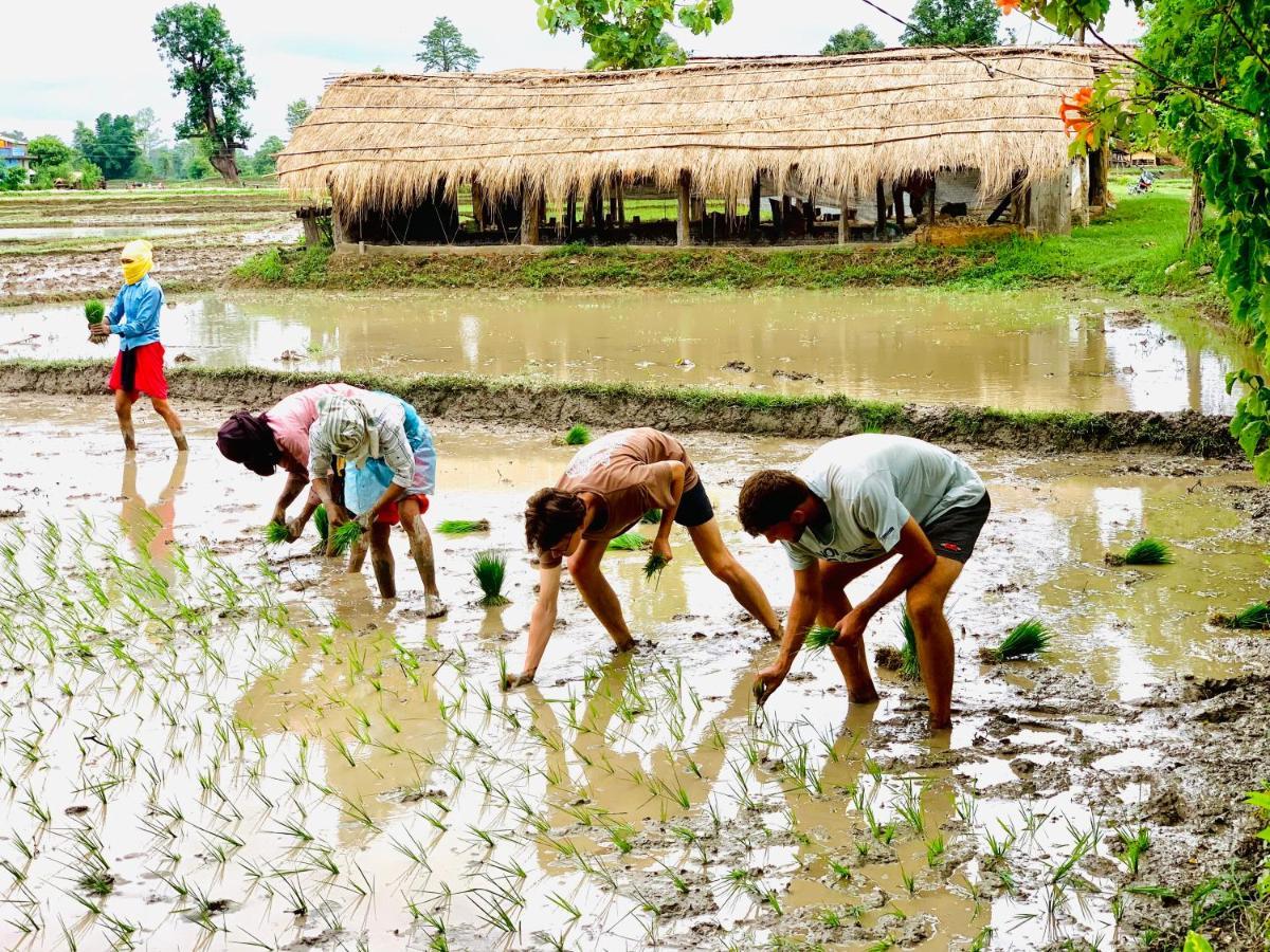 Bardia Eco Friendly Homestay Bardiya 外观 照片